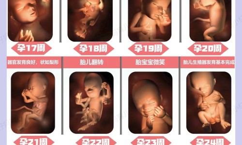 怎么区分怀孕呕吐和胃不舒服想吐-怎么区分孕吐和食物中毒网-分享如何区分孕吐和肠胃炎，如何区分孕吐和肠胃炎知识库