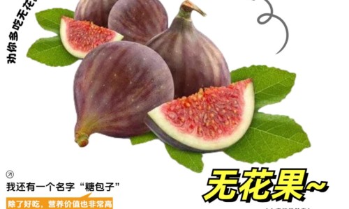 怎么区分孕吐和食物中毒网-分享如何区分孕吐和肠胃炎，如何区分孕吐和肠胃炎知识库