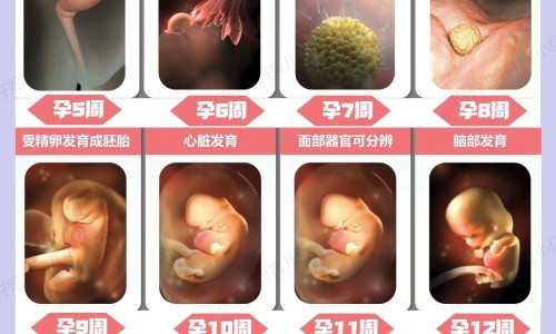 怎么区分怀孕呕吐和胃不舒服想吐-怎么区分孕吐和食物中毒网-分享如何区分孕吐和肠胃炎，如何区分孕吐和肠胃炎知识库